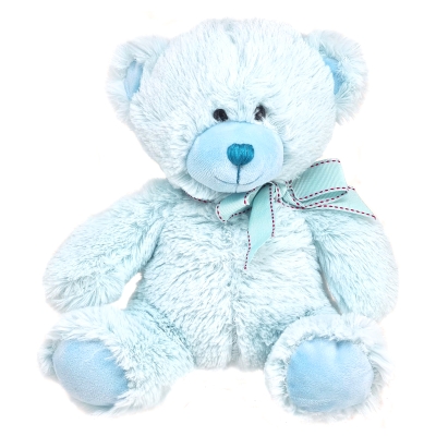 Teddy Bear Blue